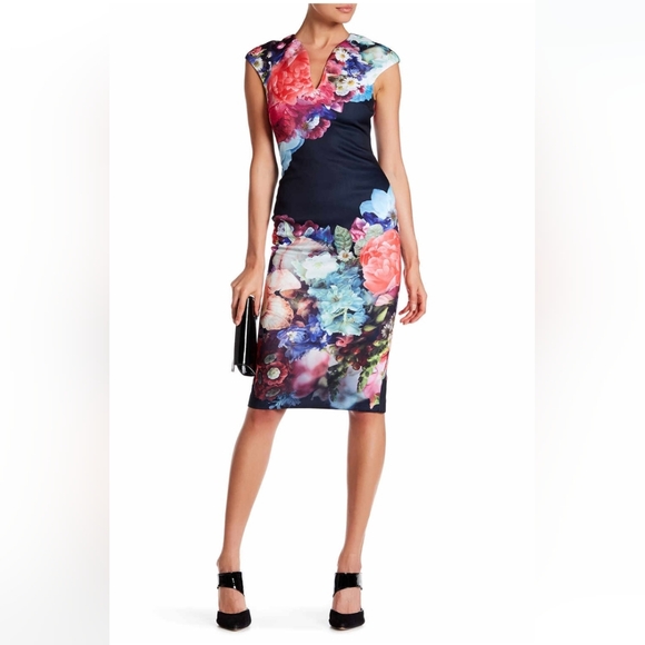 Ted Baker London Dresses & Skirts - Ted Baker Brynee Floral Dress Size 0